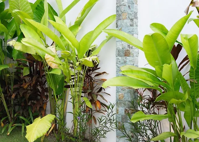 Walk To Beach&center 2br Pool Melati Villa *